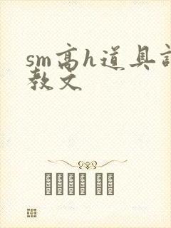 sm高h道具调教文封面