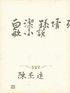 白洁 孙倩 张敏小说封面