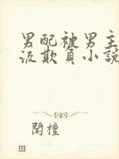 男配被男主们轮流欺负小说封面