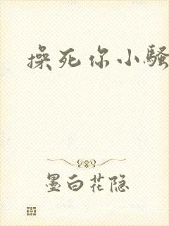 操死你小骚货.封面