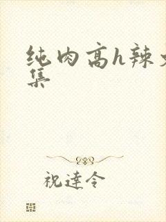纯肉高h辣文合集