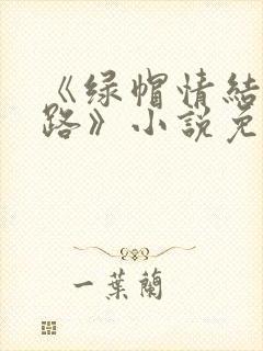 《绿帽情结不归路》小说免费阅读