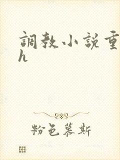 调教小说重口高h封面