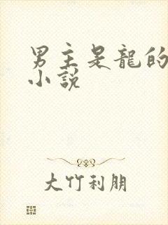 男主是龙的玄幻小说