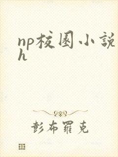 np校园小说高h