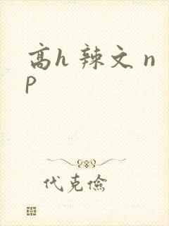 高h 辣文 np