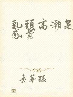 乳头高潮是什么感觉