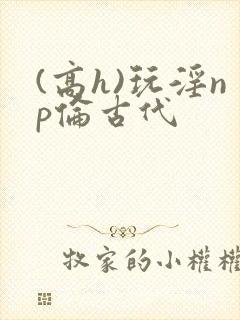 (高h)玩淫np伦古代