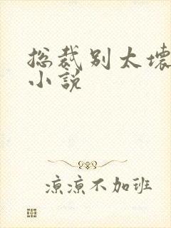 总裁别太坏全集小说