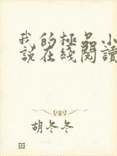 我的极品小姨小说在线阅读