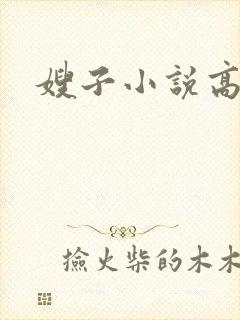 嫂子小说高h