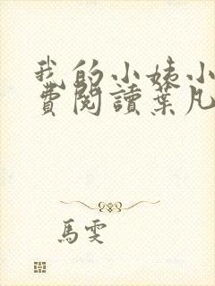 我的小姨小说免费阅读叶凡