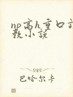 np高h重口调教小说