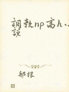 调教np高h小说
