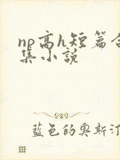 np高h短篇合集小说