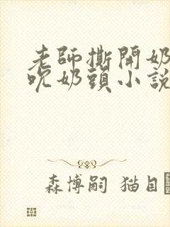 老师撕开奶罩揉吮奶头小说封面