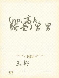 (np,高h,骚受)男男
