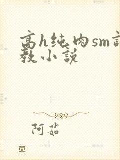 高h纯肉sm调教小说