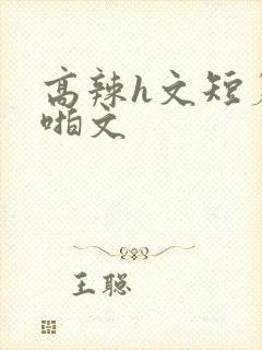 高辣h文短篇啪啪文