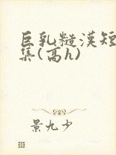 巨乳糙汉短篇合集(高h)