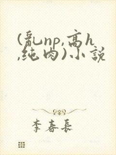 (乱np,高h,纯肉)小说