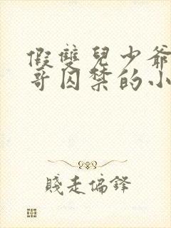 假双儿少爷被大哥囚禁的小说