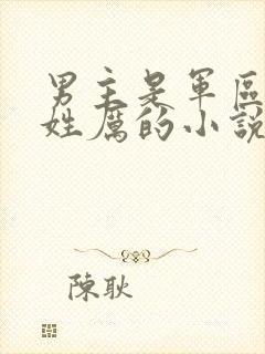 男主是军区首长姓厉的小说