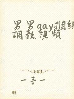 男男gay捆绑调教视频封面