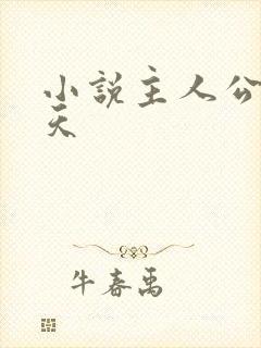 小说主人公叫李天