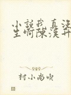 小说我真没想重生啊陈汉升阅读封面