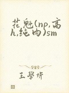 花魁(np,高h,纯肉)sm封面