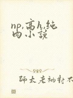 np,高h,纯肉小说封面