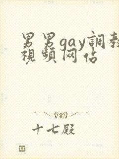 男男gay调教视频网站