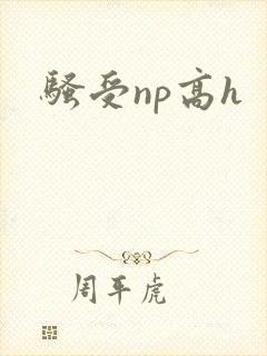 骚受np高h
