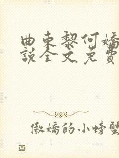 曲东黎何娇娇小说全文免费阅读封面