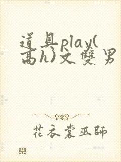 道具play(高h)文双男主封面