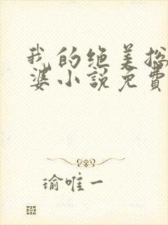 我的绝美总裁老婆小说免费阅读全文