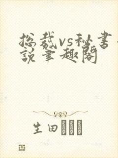 总裁vs秘书小说笔趣阁封面