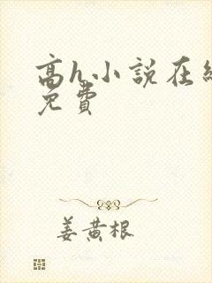 高h小说在线全免费