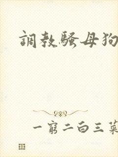 调教骚母狗校花封面