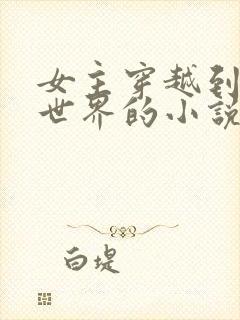 女主穿越到女尊世界的小说