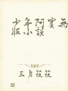 少年阿宾无删减版小说