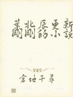 叶北辰更新最快刚刚的小说