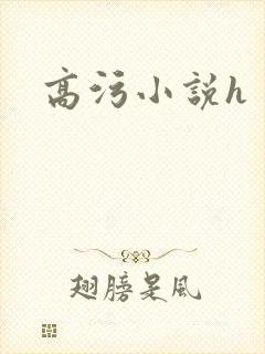 高污小说h