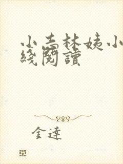 小志林姨小说在线阅读