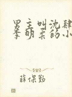 男主叫沈肆女二李明柔的小说