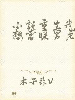 小说重生我真没想当暖男免费阅读