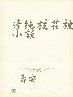 清纯校花被日常小说