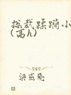 总裁蹂躏小娇妻(高h)