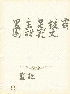 男主是校霸的校园甜宠文